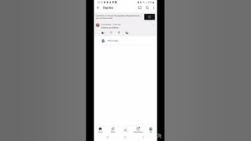 kittens are killers #music #audio