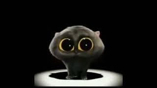 Gato negro cantando (im scatman) meme .