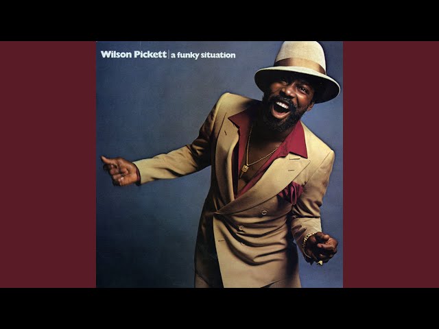 Wilson Pickett - Who Turned You On