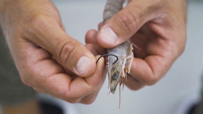 Best Hook Size for Redfish Snook Trout Flounder Tarpon 