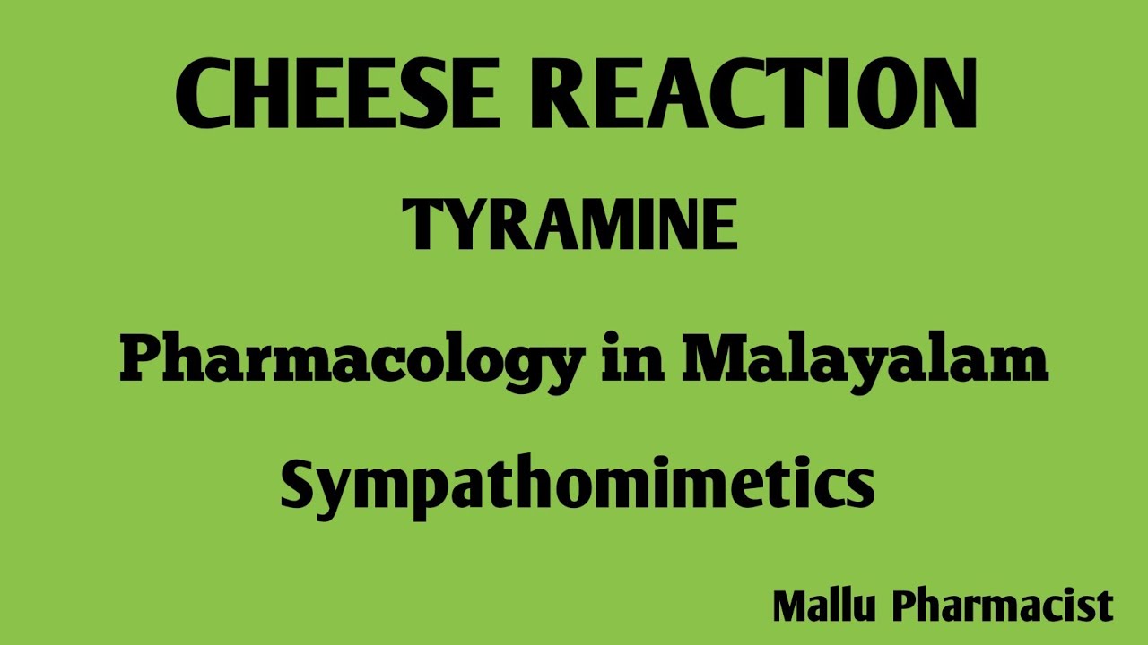 Cheese Reaction Tyramine Sympathomimetics In Malayalam Youtube