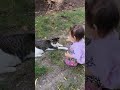 cat bites baby