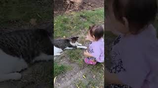 cat bites baby