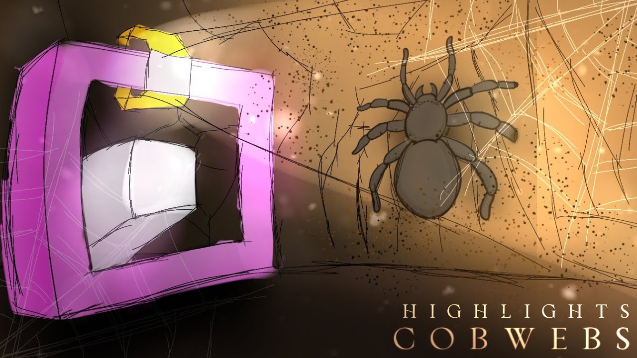 Spiders FEAR This One Trick.. 