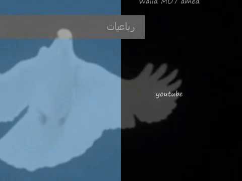 حالة واتس رباعيات مصطفى قمر بنلف  