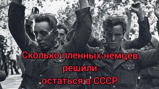 Сколько пленных немцев решили остаться в СССР ?