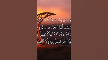 من سورة البقرة بصوت القارئ الحسين عبدرب الرسول #القرآن_الكريم #اكسبلور#المصحف#غزة_النصر#غزة_بتفرح