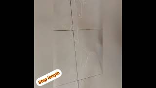 Gait spatial parameters Profile