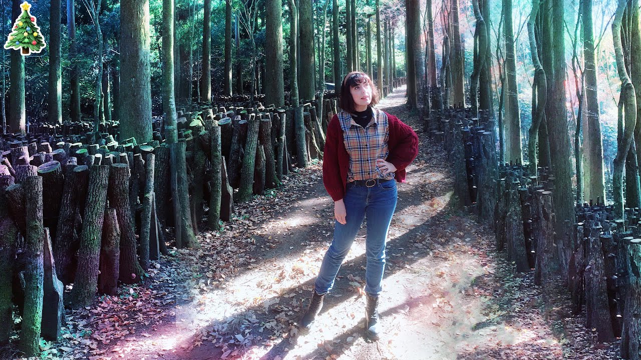 I Went to a Magical Shiitake Mushroom Farm in Japan Vlogmas 2019