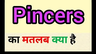 Pincers meaning in hindi || pincers ka matlab kya hota hai || word meaning english to hindi