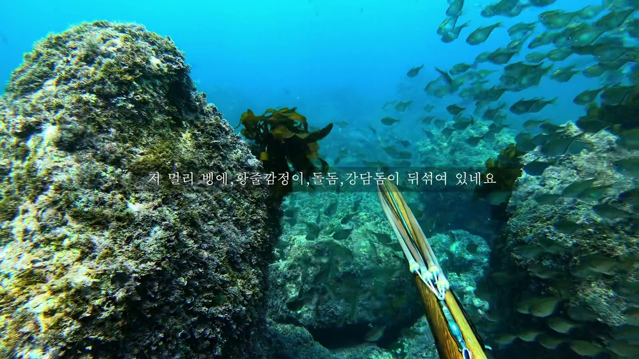 내셔널 진주그래픽 2탄!!!(feat.salvimar 명진👍) 서귀포유어장 스피어피싱 대물사냥!!!