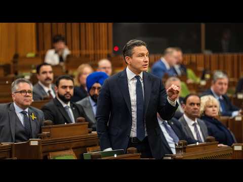 Restore fairness and fix Canada's asylum system