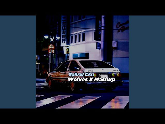 Wolves X Mashup (Remix)