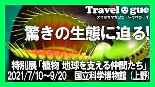 特別展「植物 地球を支える仲間たち」(国立科学博物館) - YouTube
