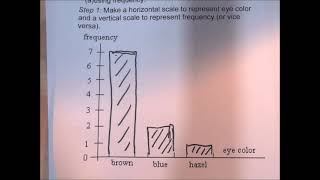 Math 150 Graphs of Categorical Variables