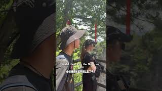 Avatar Mountain In Real Life Zhangjiajies Floating Peaks China