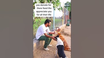 please consider donating to our PayPal link in bio on our Instagram page for support #givelove