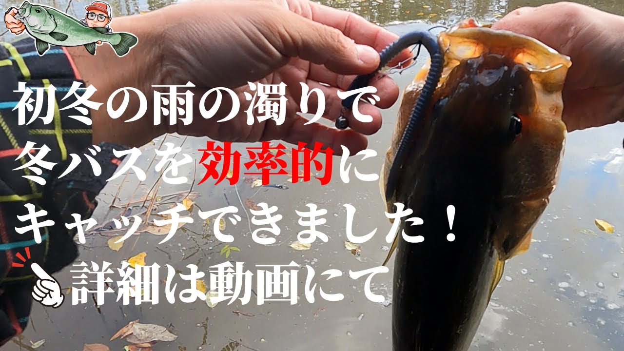 冬 バス釣り 冬バスを効率的にキャッチ Ospルアーで連発 初冬の雨の濁りが入ったインレットは楽しいですね 秋田 八郎潟 Youtube