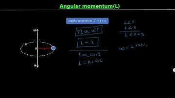 NEB Class 12 Physics: Rotational Dynamics Part 4 | Angular momentum & Its Conservation