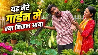 My beautiful Garden 🪴  मेरे सपनों के घर में🏡@AnshkiMummy 