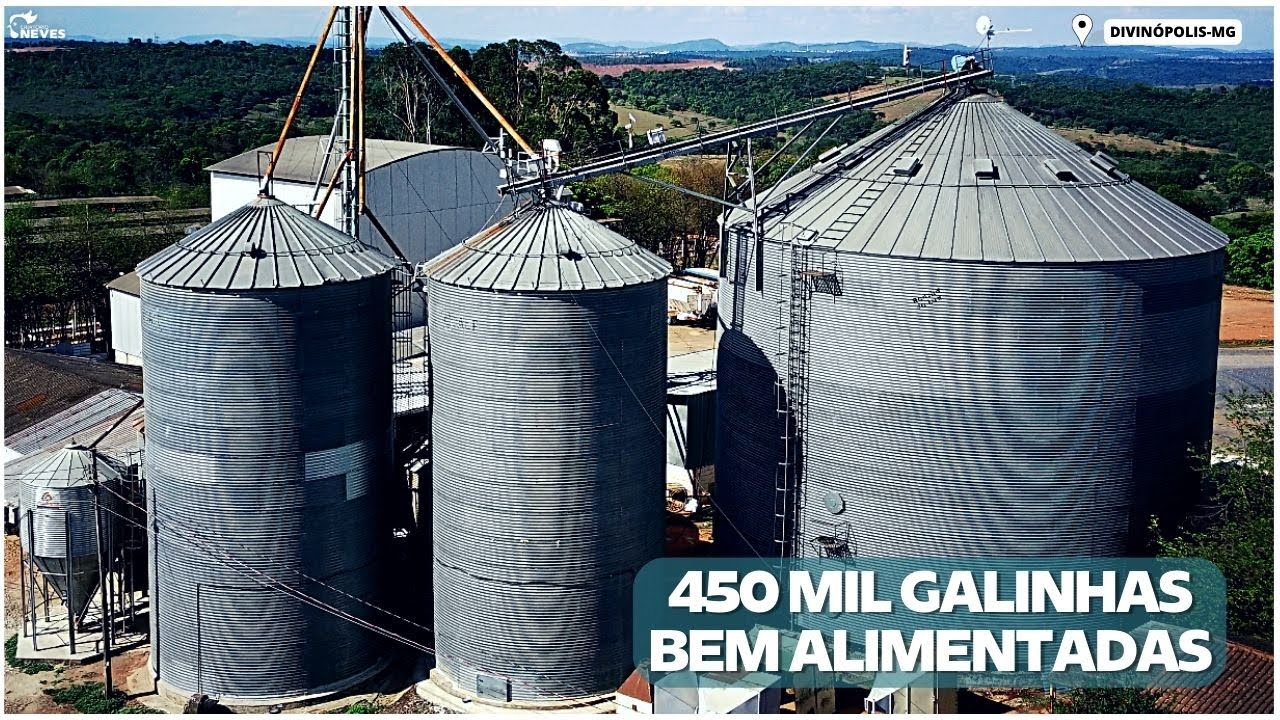 Descubra o SEGREDO da FABRICAÇÃO DA RAÇÃO em uma das maiores granjas do país