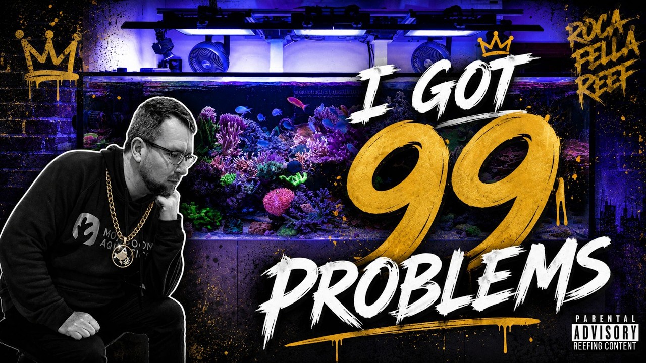 I Got 99 Problems (and my reef tank is lots of them!)