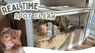 REAL TIME Hamster Cage Clean