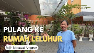 Back from Jakarta, Grandma Dewi Now Lives Happily With Her Orchids