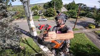 Probably the BEST Battery Chainsaw