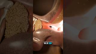 Download Lagu ⚠️ Iets Beweegt In Je Oor? DOE DIT NIET! MP3