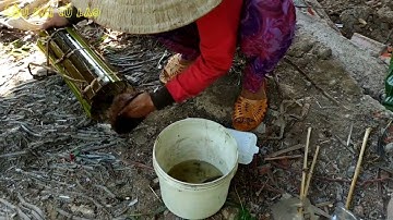 Làm Lợp Lá Bẫy Cá Bống Dừa và hiệu quả bất ngờ | Đặt Lợp Cá Bống Dừa ở Miền Tây Quê Tôi