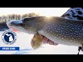 Ice Fishing the UP, Perch fishing in Pentwater; Michigan Out of Doors TV #2409