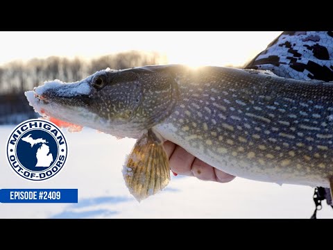 2409 February 29 – This week we head above the bridge for some good ice, then we hit the open water of Pentwater lake for perch.