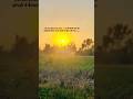 Dat 1 of posting #youtubshorts #song #viral #viralvideo #trendingshorts