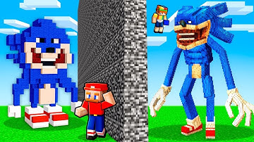 I Cheated With //SHIN SONIC In A Minecraft Build Battle!
