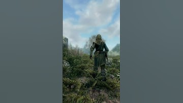 Never gonna trust a Vigilant of Stendarr now | #Skyrim Gameplay Highlights