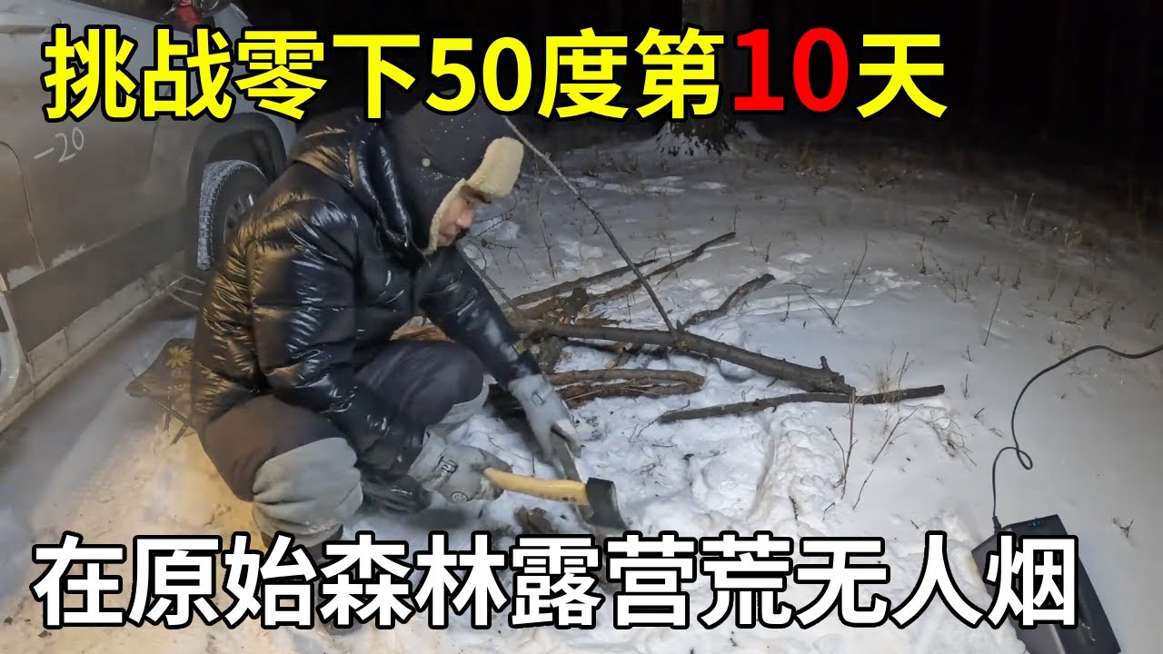 挑战零下50度第10天，在原始森林露营荒无人烟，零下30度在树林捡柴火取暖【旅行者小多】