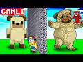 [ CANLI YAYIN ]  ARKADAŞIMI YAPI KAPIŞMASINDA PIBBLE ile TROLLEDİM !! - Minecraft