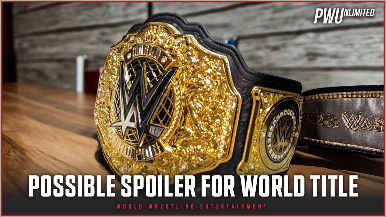 ВОЗМОЖНЫЙ СПОЙЛЕР о планах проведения чемпионата мира в тяжелом весе