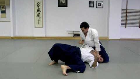 Aikido - 3 Kyu - Technique - Suwariwaza Shomenuchi Iriminage