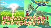 ポケモンgo バンギラスへの近道 ヨーギラスの巣を発見 パイルの実でアメ量産 Youtube