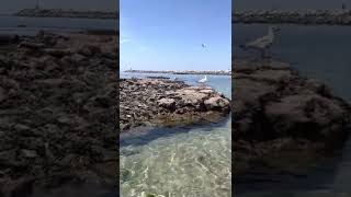 ANGEIRAS(Portugal)✈️Uma Vila de Pescadores, há poucos quilômetros do Porto Cidade. O mar é lindooo👍