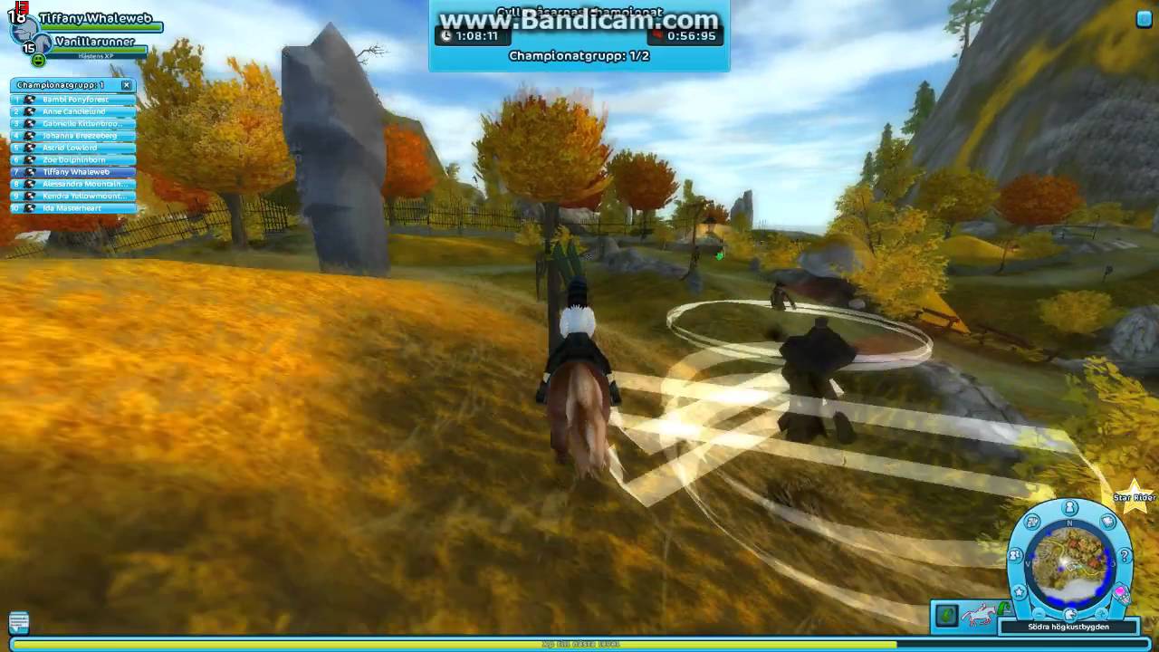 3 värdekoder och ett champ