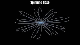 Spinning Rose