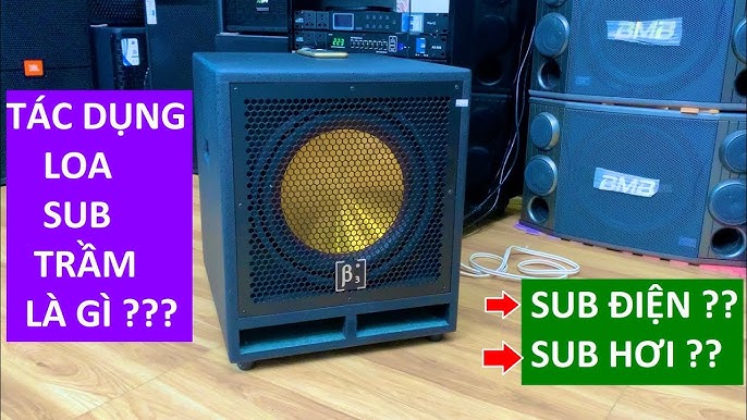 1. Giới thiệu về loa sub