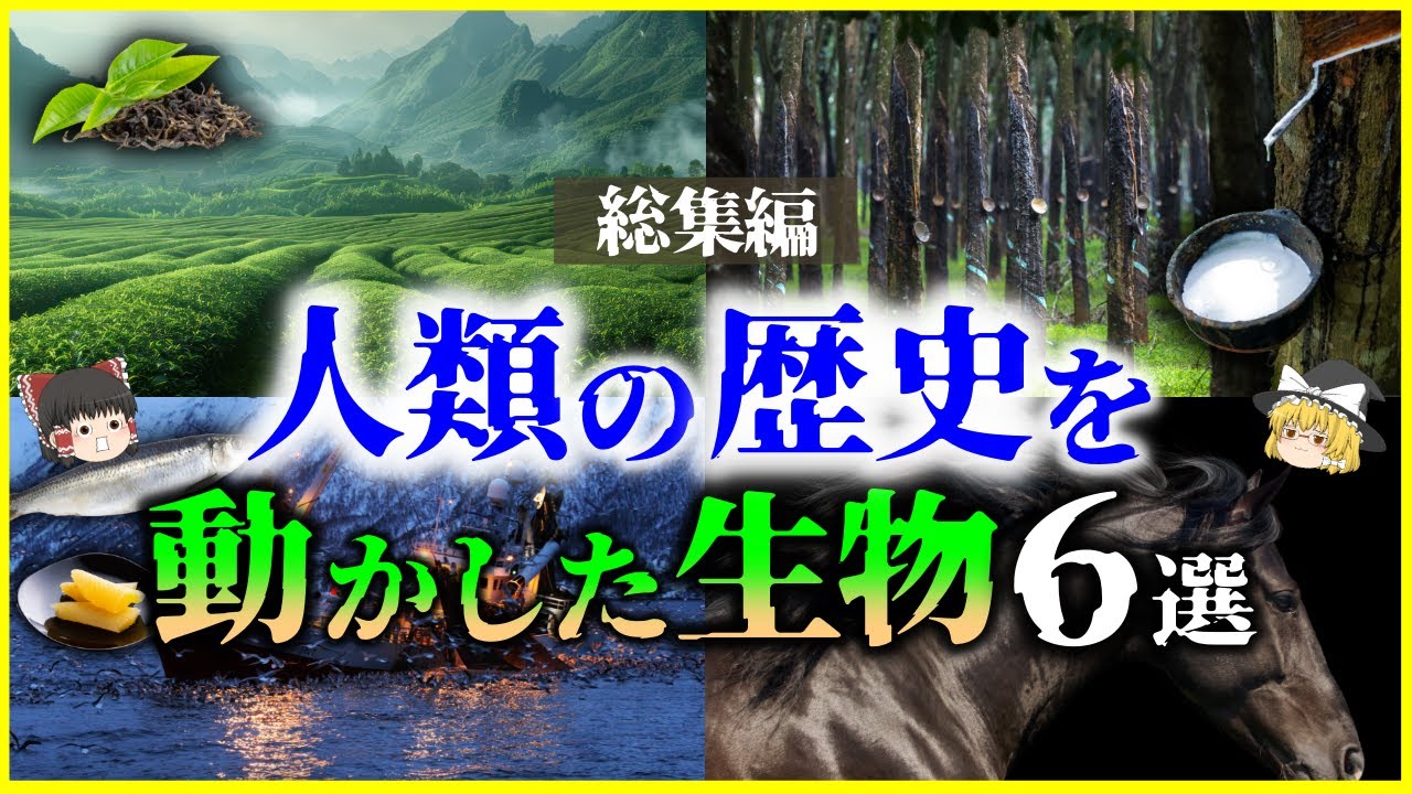 【ゆっくり解説】人類の歴史を動かした生物たち6選を解説【総集編】馬、ゴムの木、ニシン、鱈、お茶、他＜睡眠用＞＜作業用＞