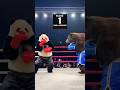 Panda vs Brown Bear 🥊 Heavyweight Boxing Match