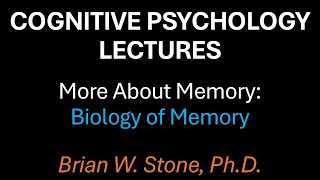 Cognitive Psychology - More About Memory Pt1 - Biology of Memory