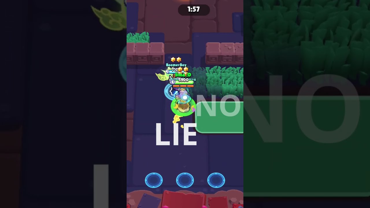 Piper Hightlights
