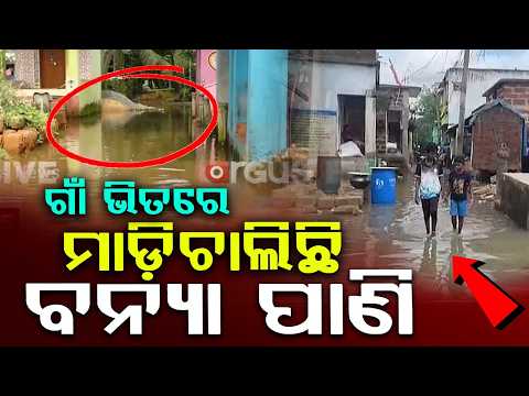 Massive Flooding In Khordha: Over 6 Villages Submerged By Rajua River | Argus News